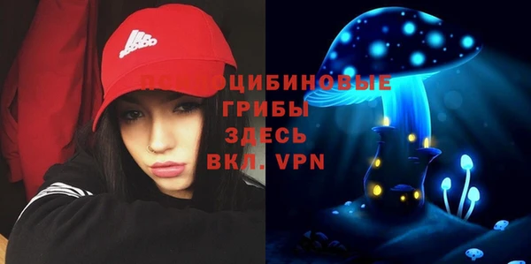 гидропоника Абинск