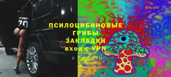 ГАЛЛЮЦИНОГЕННЫЕ ГРИБЫ Абдулино