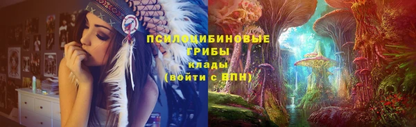 ГАЛЛЮЦИНОГЕННЫЕ ГРИБЫ Абдулино
