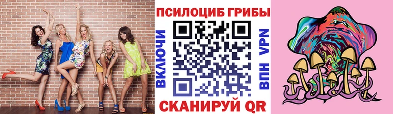 Псилоцибиновые грибы Cubensis Боровичи